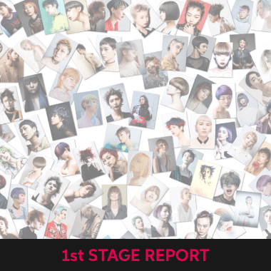 1st STAGE REPORT