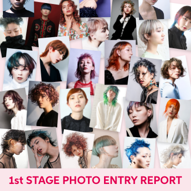 1st STAGE REPORT